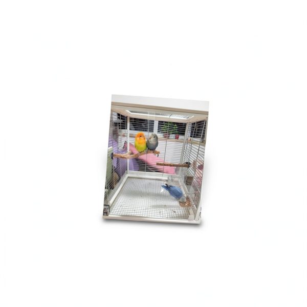 5 Mesh Stainless Steel Screen 12x24 2 Pack Heat Resistant Rust Free-4